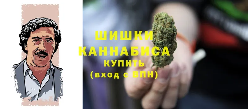 где найти наркотики  Болгар  Бошки Шишки SATIVA & INDICA 